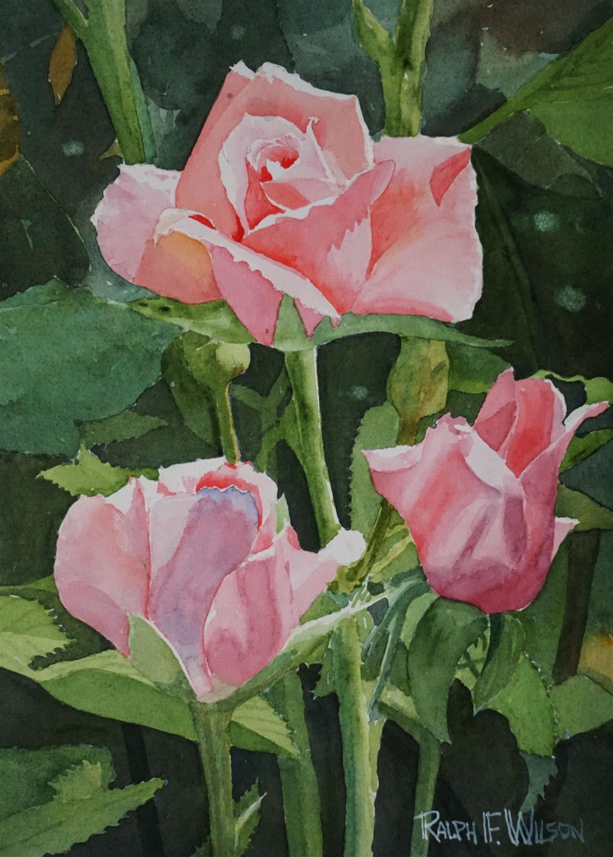 Jaggersre Autumn Waterfall