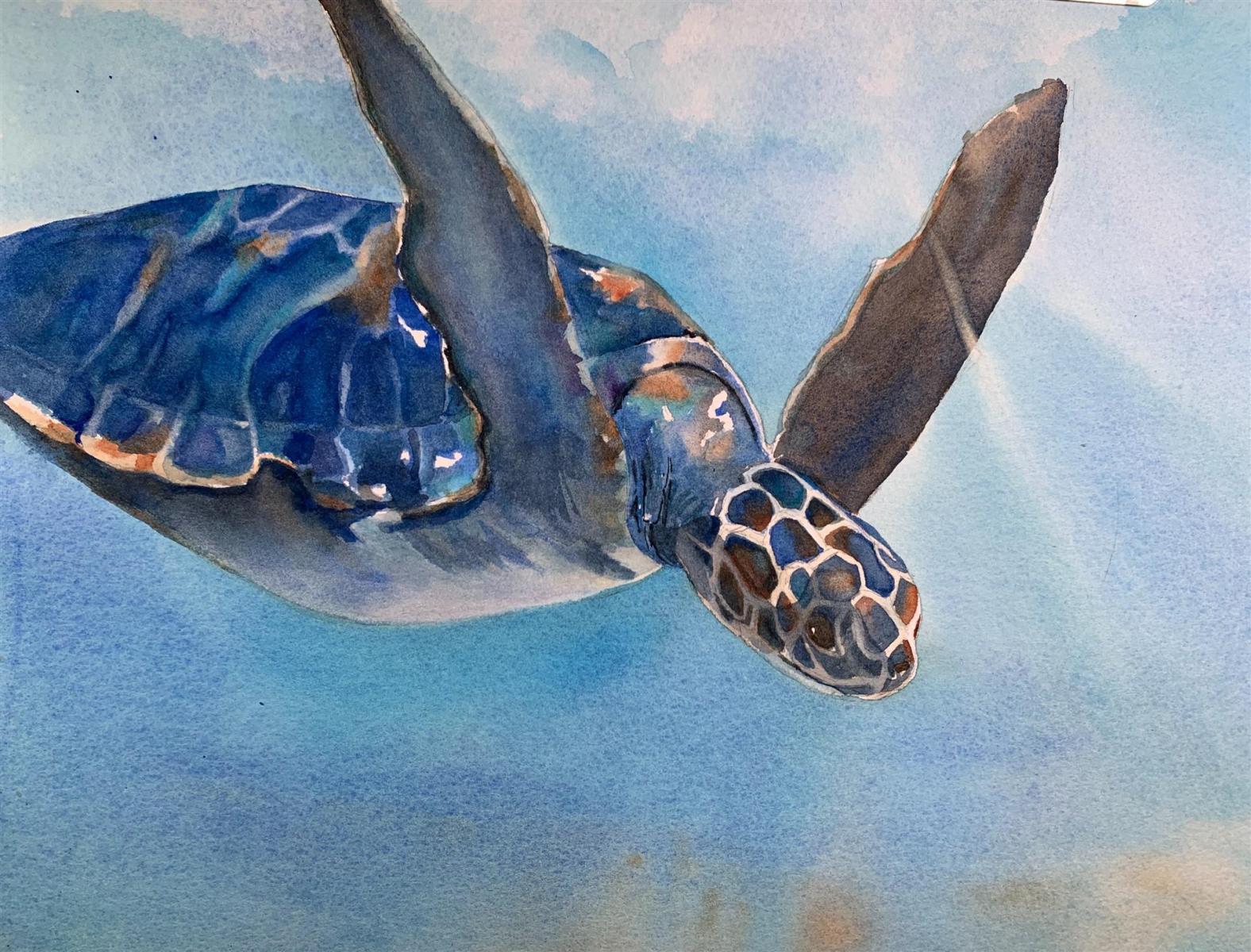 Friedlandmi Sausalito Sailer