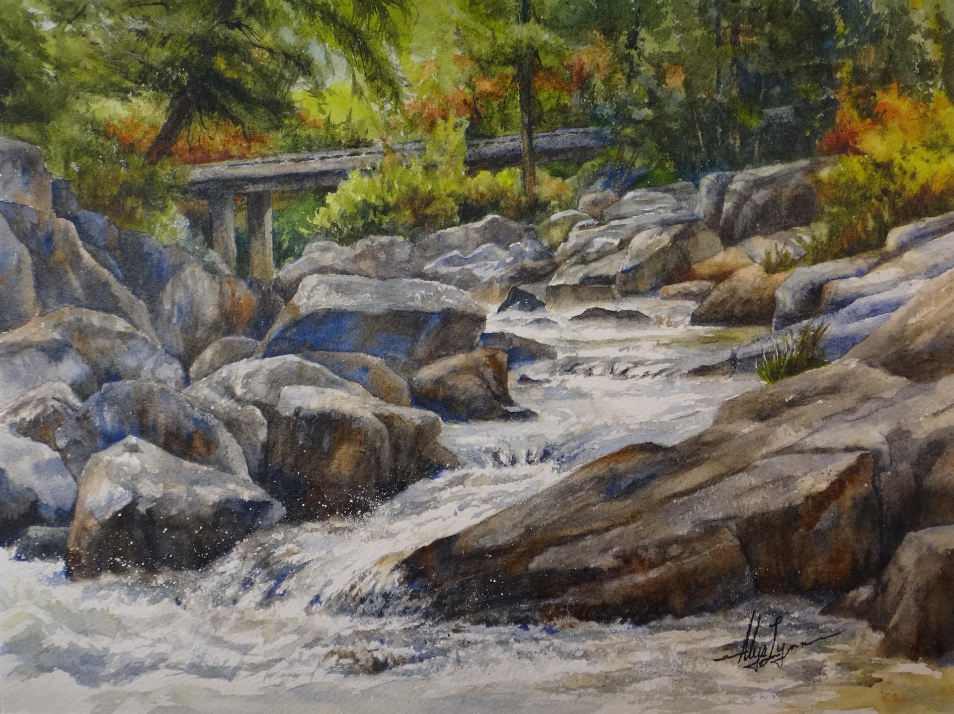 Lemkeal Silverfork Rapids