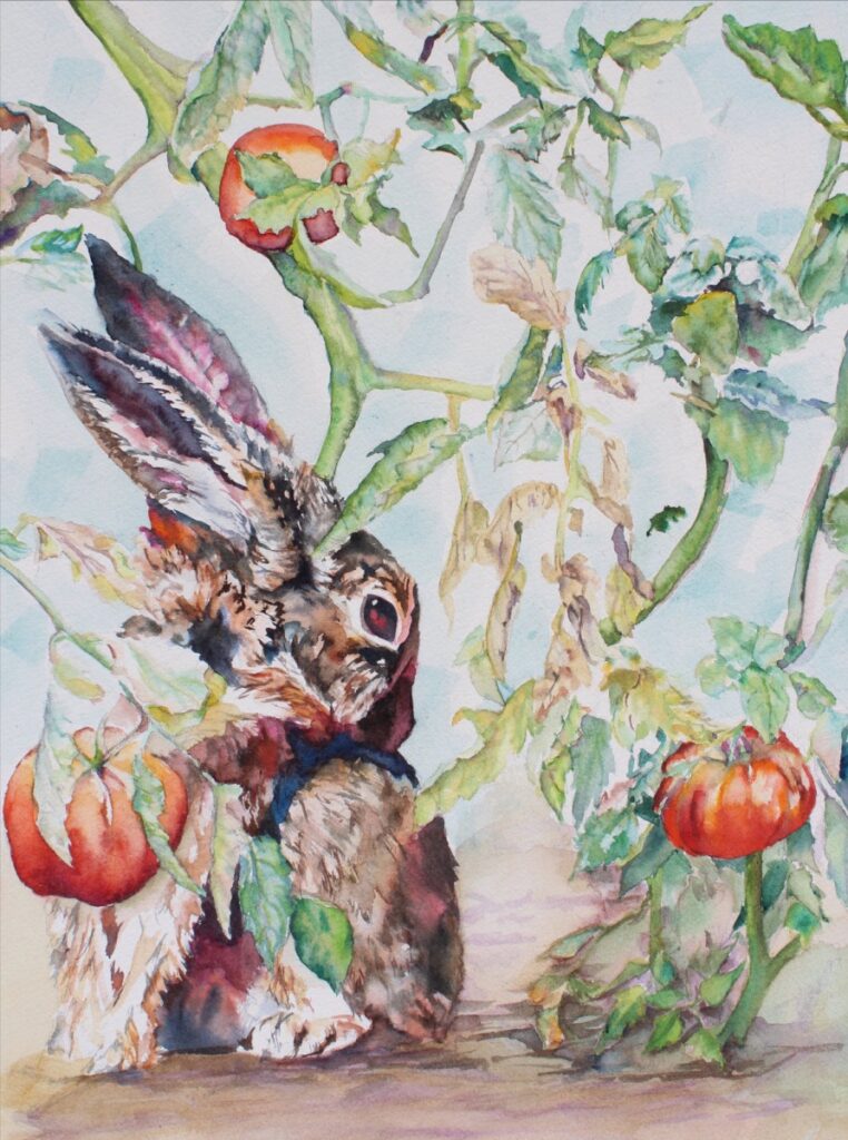 squirrel
